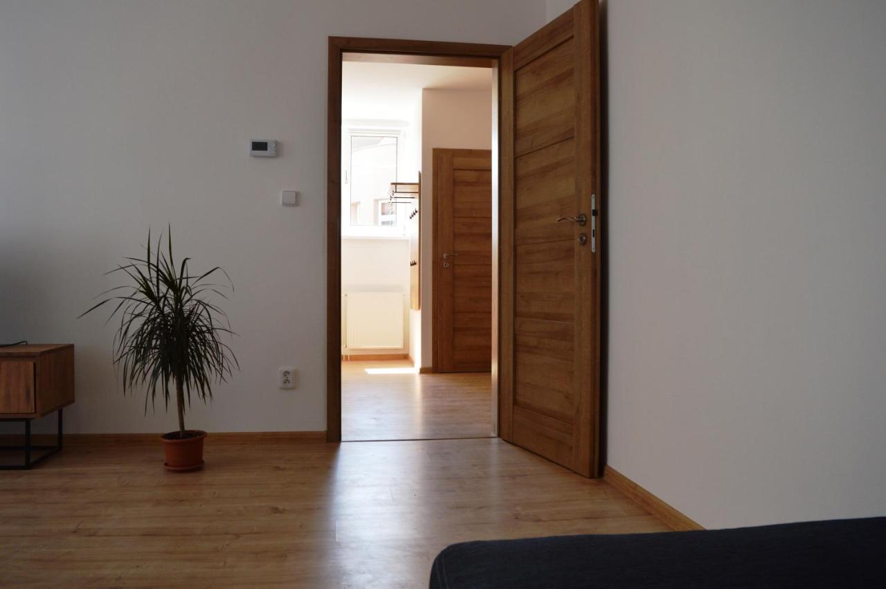 Apartman U Maleho Jezu تشيسكي بوديوفيتسه المظهر الخارجي الصورة