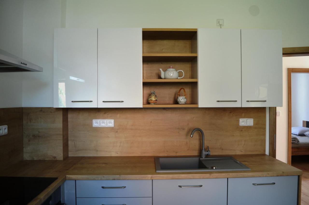Apartman U Maleho Jezu تشيسكي بوديوفيتسه المظهر الخارجي الصورة